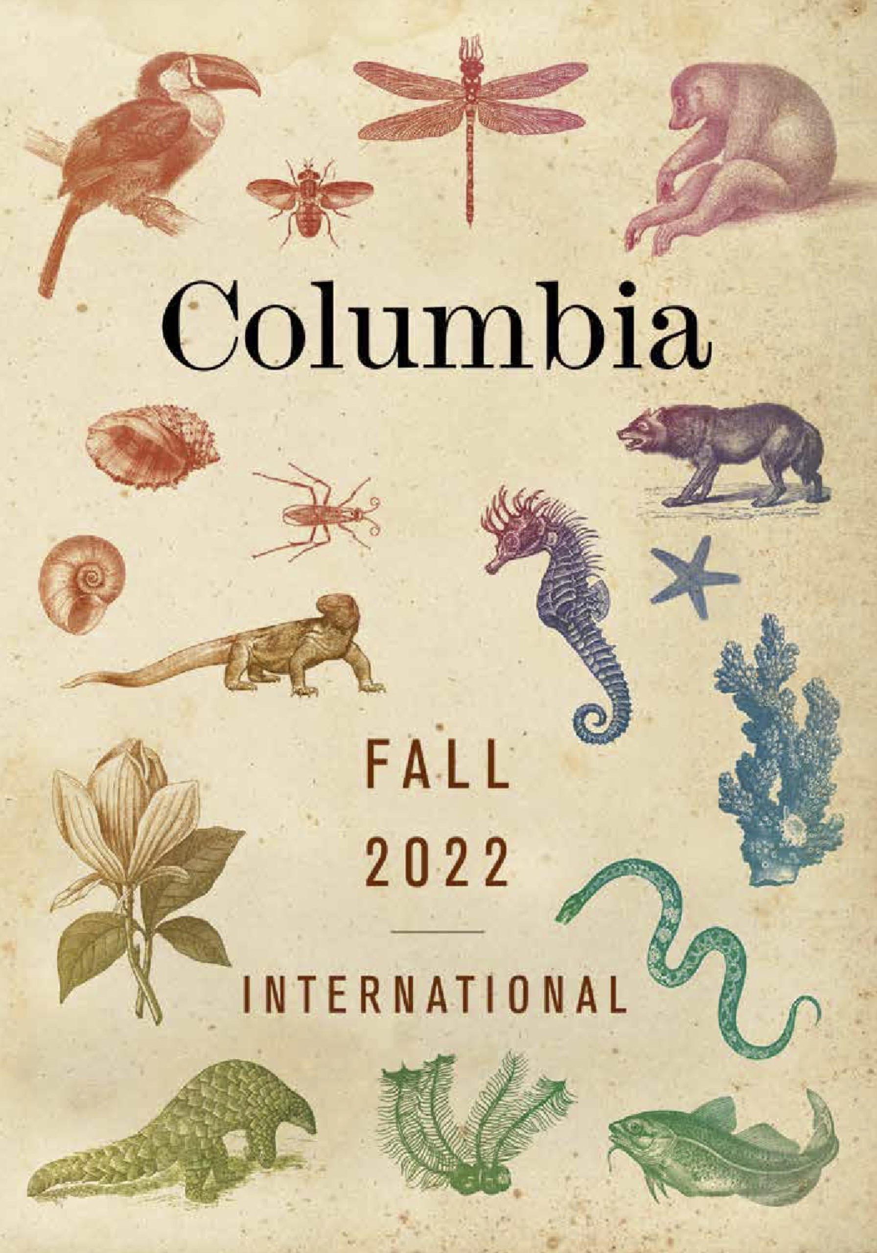 CUPF22International